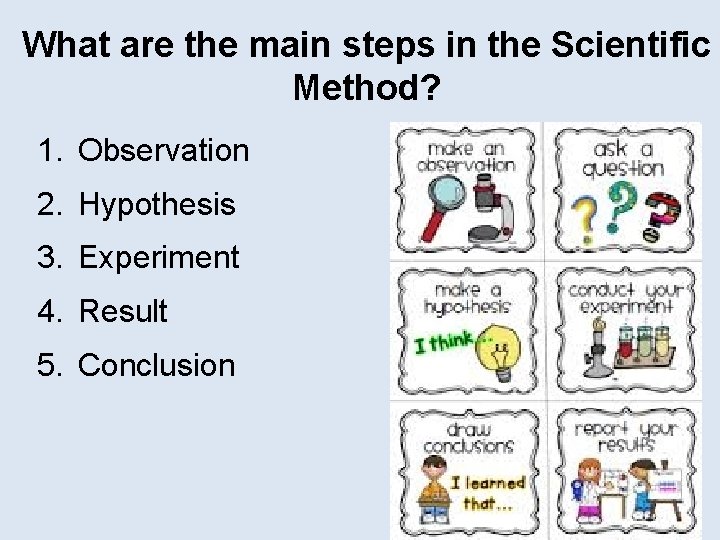 What are the main steps in the Scientific Method? 1. Observation 2. Hypothesis 3.