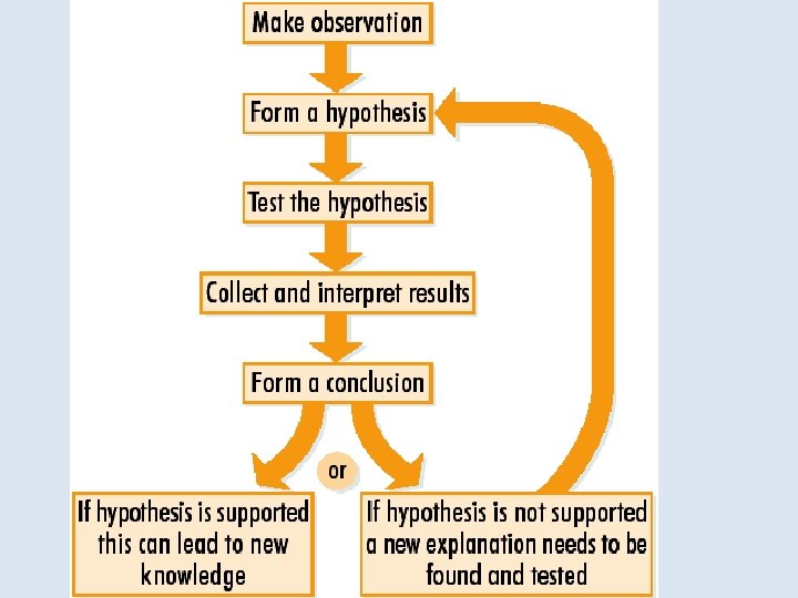 Scientific Method 