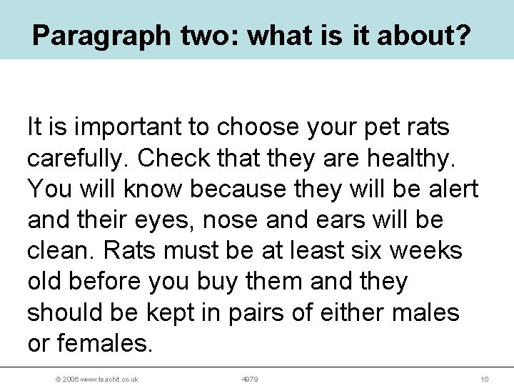 Paragraph two: what is it about? It is important to choose your pet rats