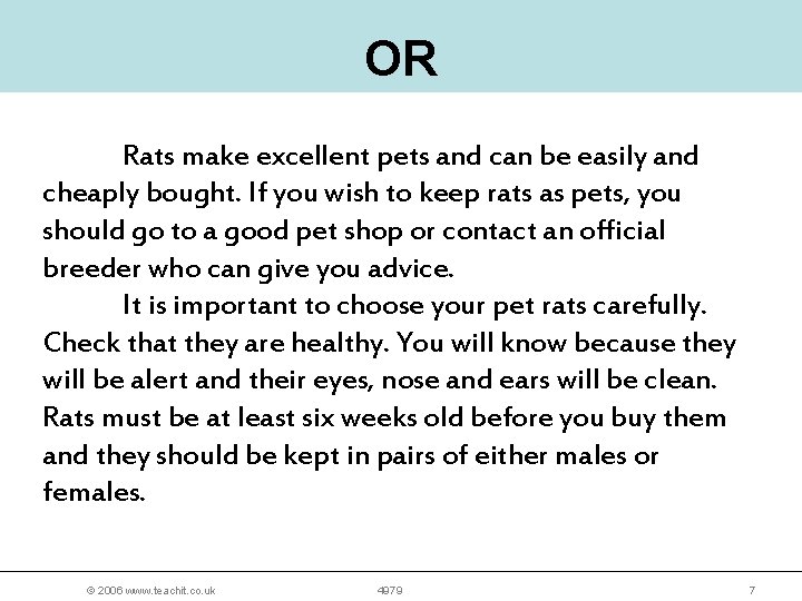 OR Rats make excellent pets and can be easily and cheaply bought. If you