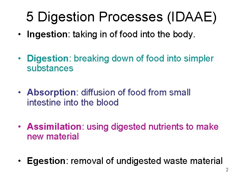 5 Digestion Processes (IDAAE) • Ingestion: taking in of food into the body. •