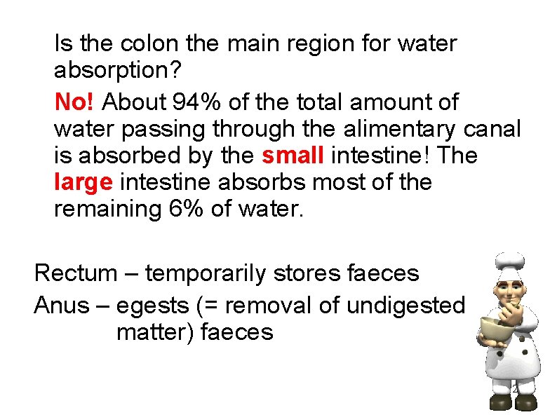 Is the colon the main region for water absorption? No! About 94% of the