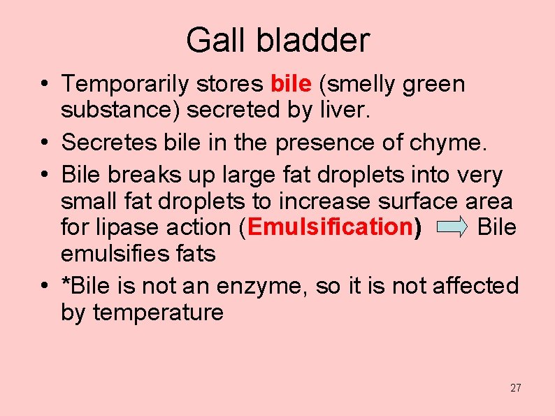 Gall bladder • Temporarily stores bile (smelly green substance) secreted by liver. • Secretes