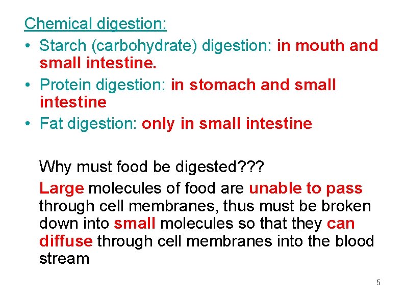 Chemical digestion: • Starch (carbohydrate) digestion: in mouth and small intestine. • Protein digestion: