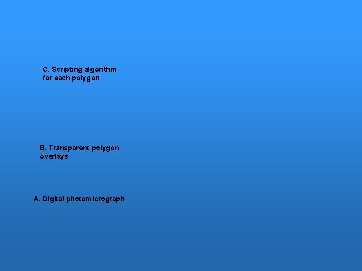 C. Scripting algorithm for each polygon B. Transparent polygon overlays A. Digital photomicrograph 