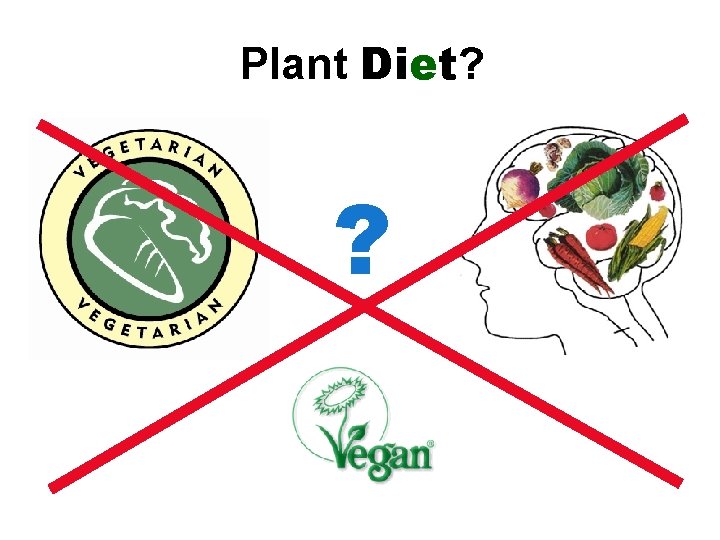 Plant Diet? ? 