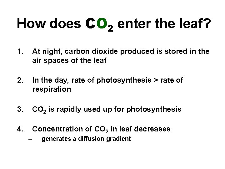 How does CO 2 enter the leaf? 1. At night, carbon dioxide produced is