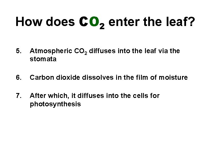 How does CO 2 enter the leaf? 5. Atmospheric CO 2 diffuses into the