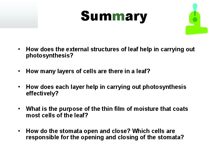 Summary • How does the external structures of leaf help in carrying out photosynthesis?