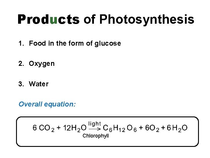 Products of Photosynthesis 1. Food in the form of glucose 2. Oxygen 3. Water