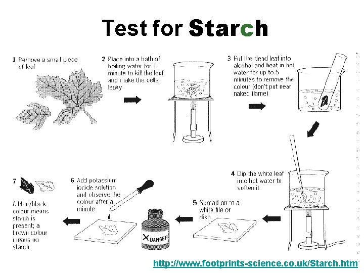 Test for Starch http: //www. footprints-science. co. uk/Starch. htm 