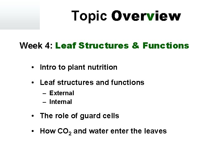 Topic Overview Week 4: Leaf Structures & Functions • Intro to plant nutrition •