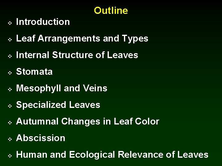 Outline v Introduction v Leaf Arrangements and Types v Internal Structure of Leaves v