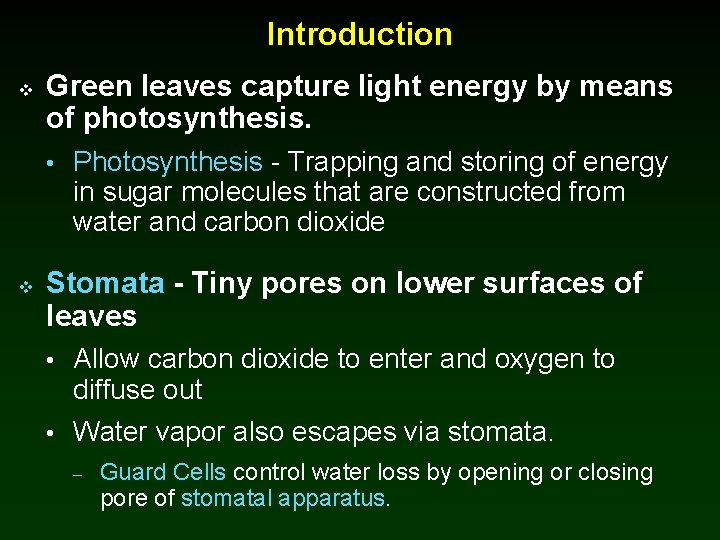 Introduction v Green leaves capture light energy by means of photosynthesis. • Photosynthesis -