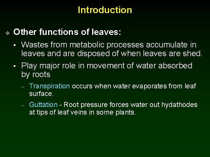 Introduction v Other functions of leaves: • Wastes from metabolic processes accumulate in leaves