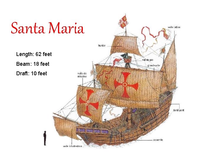 Santa Maria Length: 62 feet Beam: 18 feet Draft: 10 feet 