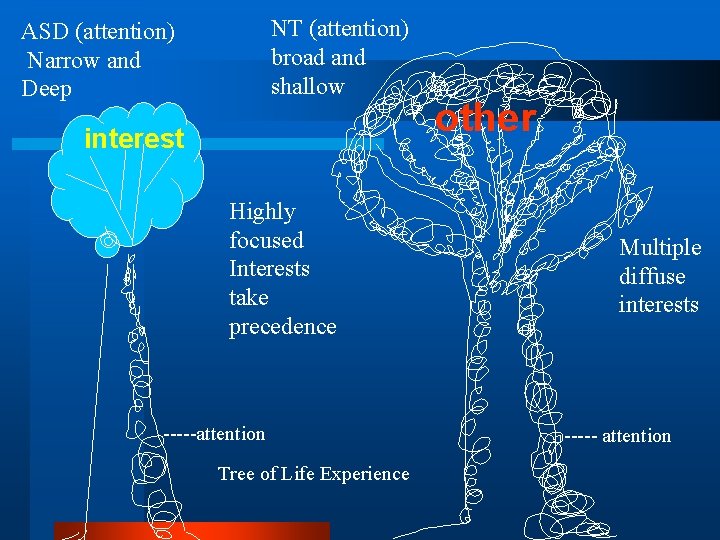 NT (attention) broad and shallow ASD (attention) Narrow and Deep interest Highly focused Interests