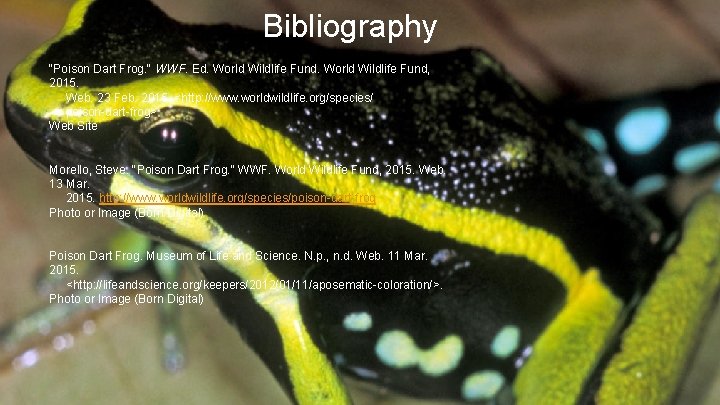 Bibliography "Poison Dart Frog. " WWF. Ed. World Wildlife Fund, 2015. Web. 23 Feb.