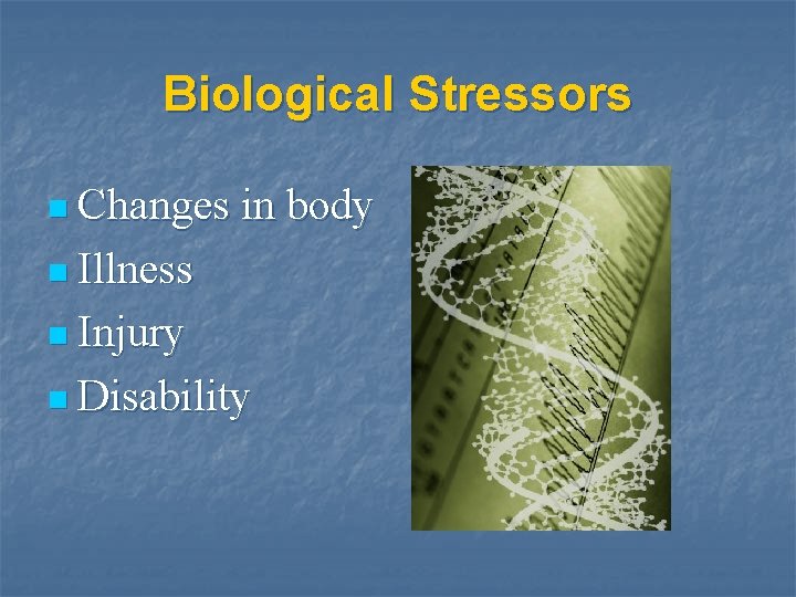 Biological Stressors n Changes in body n Illness n Injury n Disability 