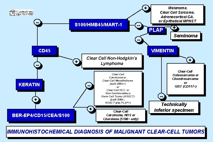 + -- S 100/HMB 45/MART-1 -- Melanoma, Clear Cell Sarcoma, Adrenocortical CA. or Epithelioid