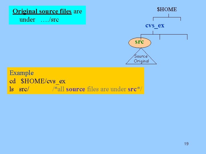 $HOME Original source files are under …. /src cvs_ex src Source Original Example cd