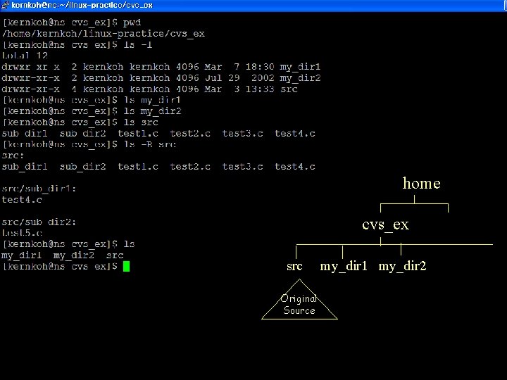 original source files home cvs_ex src my_dir 1 my_dir 2 Original Source 20 