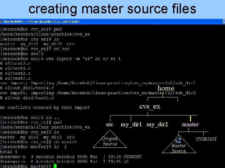 creating master source files home cvs_ex src Original Source my_dir 1 my_dir 2 master