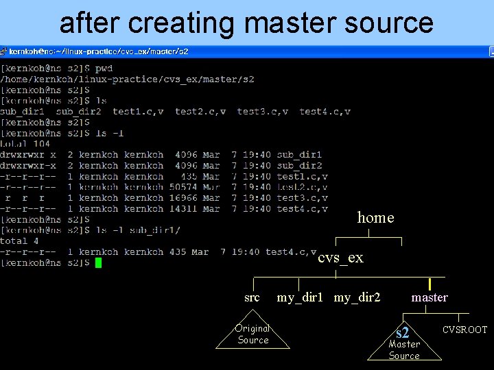 after creating master source home cvs_ex src Original Source my_dir 1 my_dir 2 master