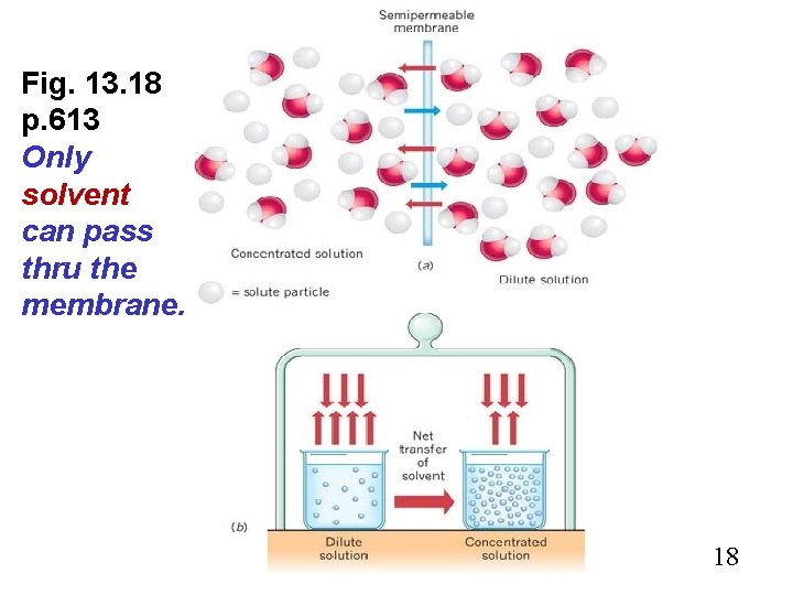 Fig. 13. 18 p. 613 Only solvent can pass thru the membrane. 18 