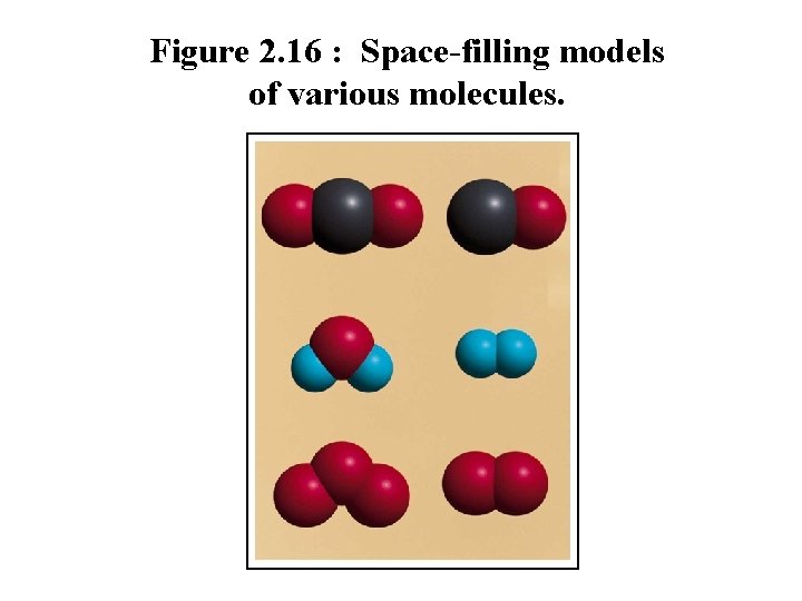 Figure 2. 16 : Space-filling models of various molecules. Figure 2. 16 : Space-filling models of various molecules.