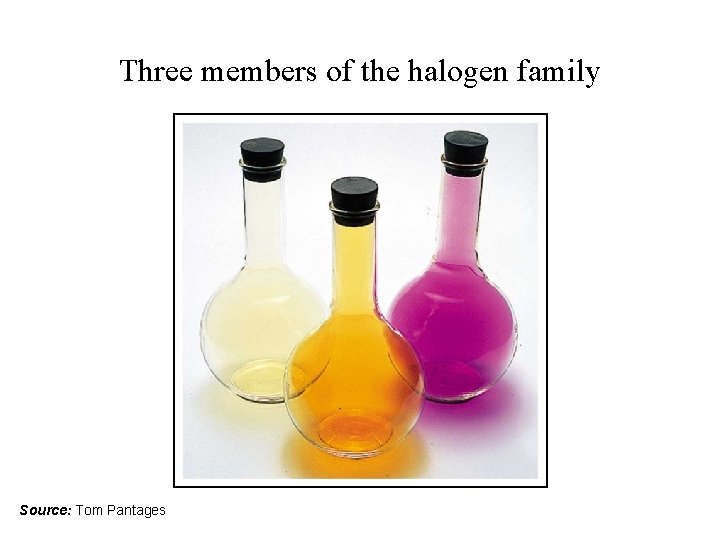 Three members of the halogen family Source: Tom Pantages Three members of the halogen family Source: Tom Pantages