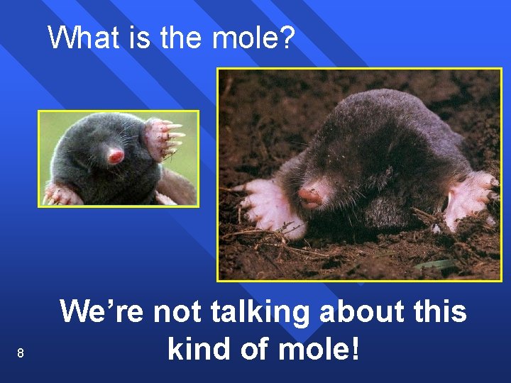 What is the mole? 8 We’re not talking about this kind of mole! 