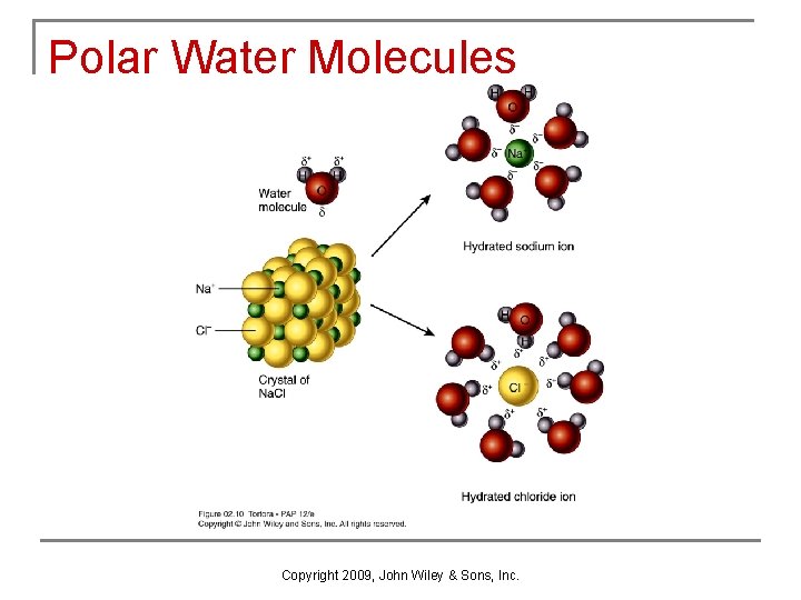 Polar Water Molecules Copyright 2009, John Wiley & Sons, Inc. 