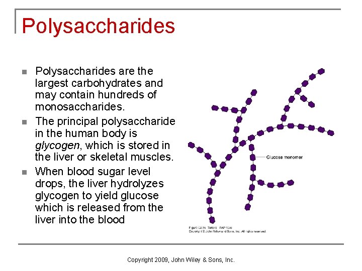 Polysaccharides n n n Polysaccharides are the largest carbohydrates and may contain hundreds of