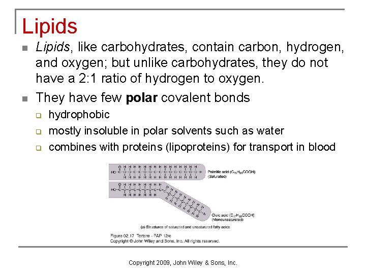 Lipids n n Lipids, like carbohydrates, contain carbon, hydrogen, and oxygen; but unlike carbohydrates,