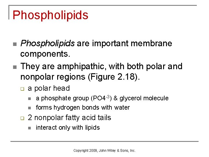 Phospholipids n n Phospholipids are important membrane components. They are amphipathic, with both polar