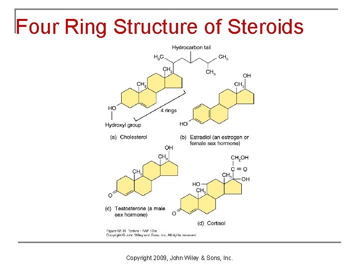 Four Ring Structure of Steroids Copyright 2009, John Wiley & Sons, Inc. 