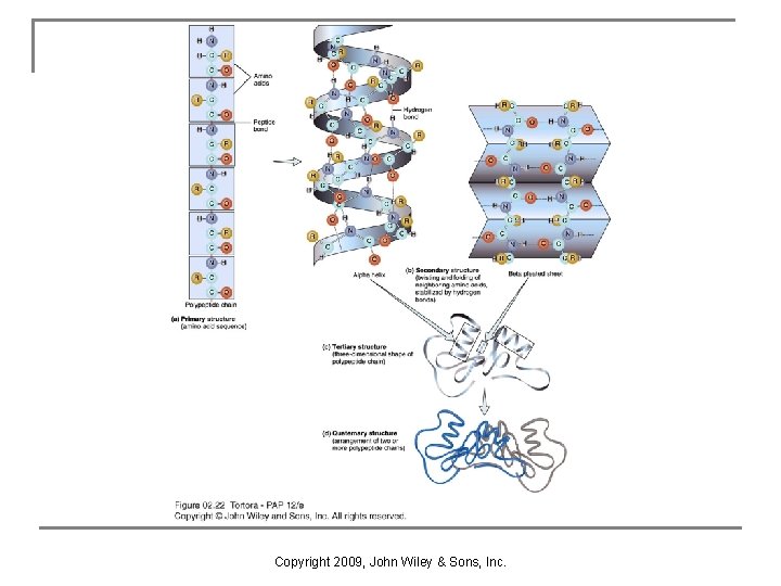 Copyright 2009, John Wiley & Sons, Inc. 