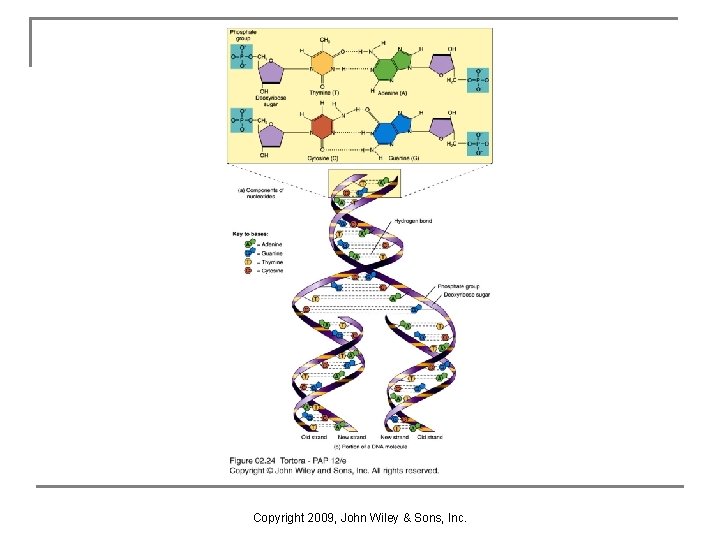 Copyright 2009, John Wiley & Sons, Inc. 