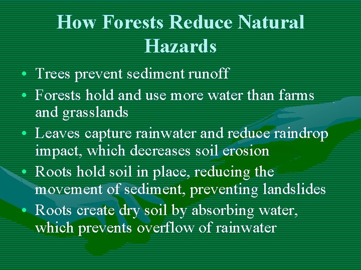 How Forests Reduce Natural Hazards • Trees prevent sediment runoff • Forests hold and How Forests Reduce Natural Hazards • Trees prevent sediment runoff • Forests hold and