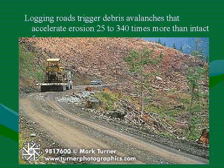 Logging roads trigger debris avalanches that accelerate erosion 25 to 340 times more than Logging roads trigger debris avalanches that accelerate erosion 25 to 340 times more than