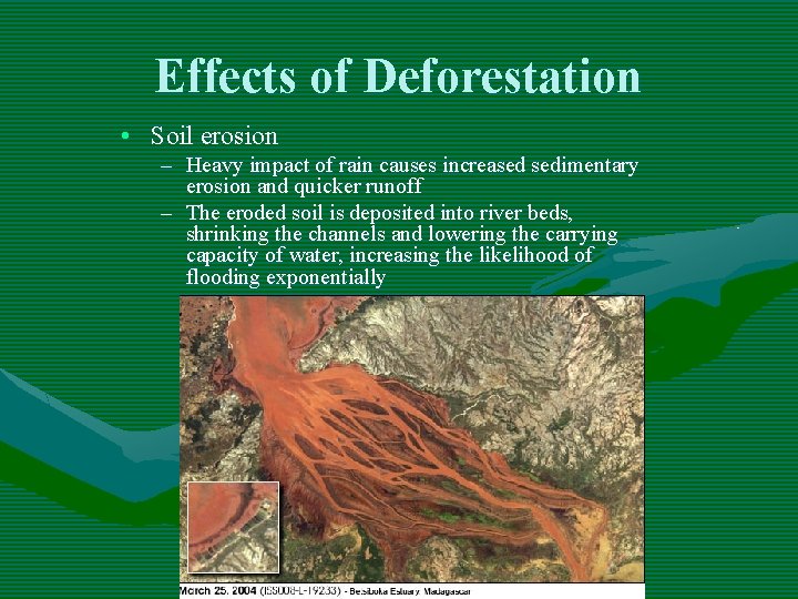 Effects of Deforestation • Soil erosion – Heavy impact of rain causes increased sedimentary Effects of Deforestation • Soil erosion – Heavy impact of rain causes increased sedimentary