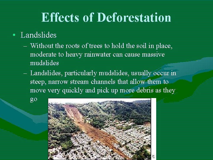 Effects of Deforestation • Landslides – Without the roots of trees to hold the Effects of Deforestation • Landslides – Without the roots of trees to hold the