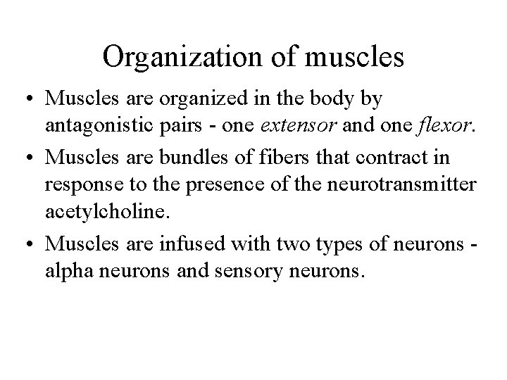 Organization of muscles • Muscles are organized in the body by antagonistic pairs -