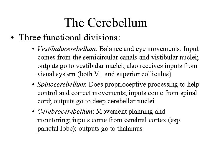 The Cerebellum • Three functional divisions: • Vestibulocerebellum: Balance and eye movements. Input comes