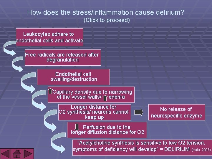 How does the stress/inflammation cause delirium? (Click to proceed) Leukocytes adhere to endothelial cells