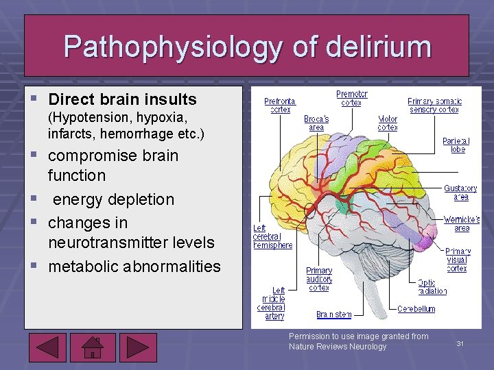 Pathophysiology of delirium § Direct brain insults (Hypotension, hypoxia, infarcts, hemorrhage etc. ) §