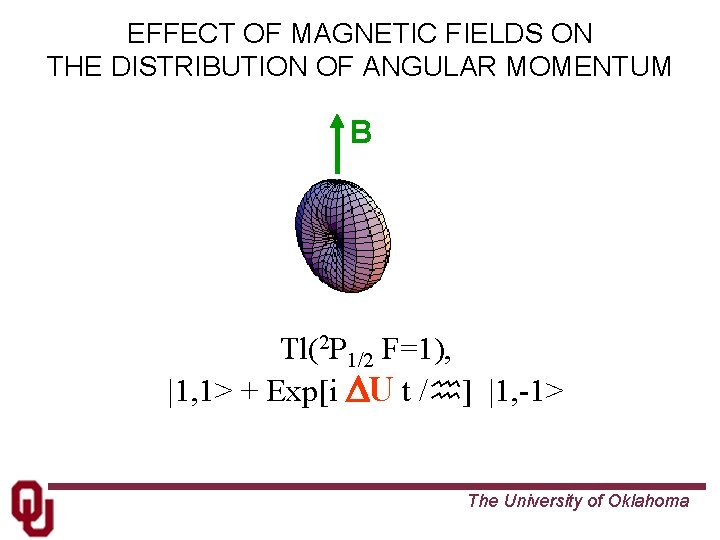EFFECT OF MAGNETIC FIELDS ON THE DISTRIBUTION OF ANGULAR MOMENTUM B Tl(2 P 1/2