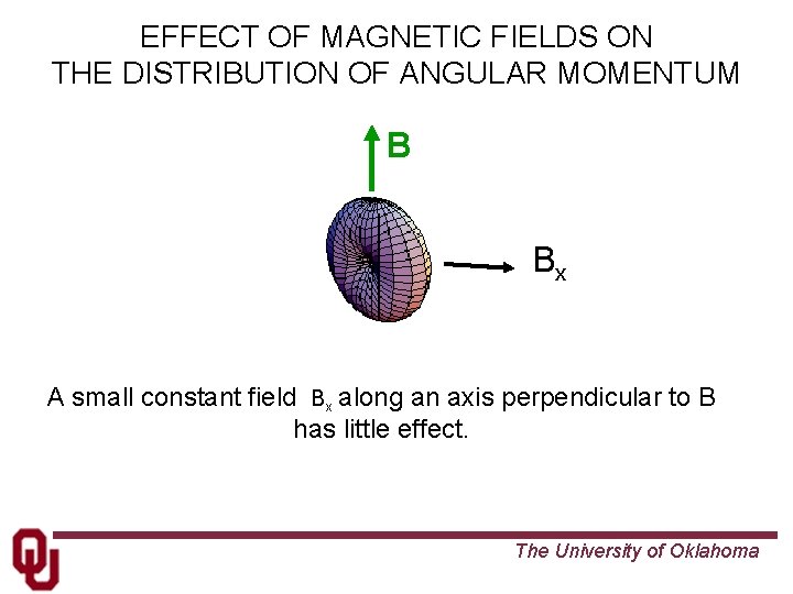 EFFECT OF MAGNETIC FIELDS ON THE DISTRIBUTION OF ANGULAR MOMENTUM B Bx A small