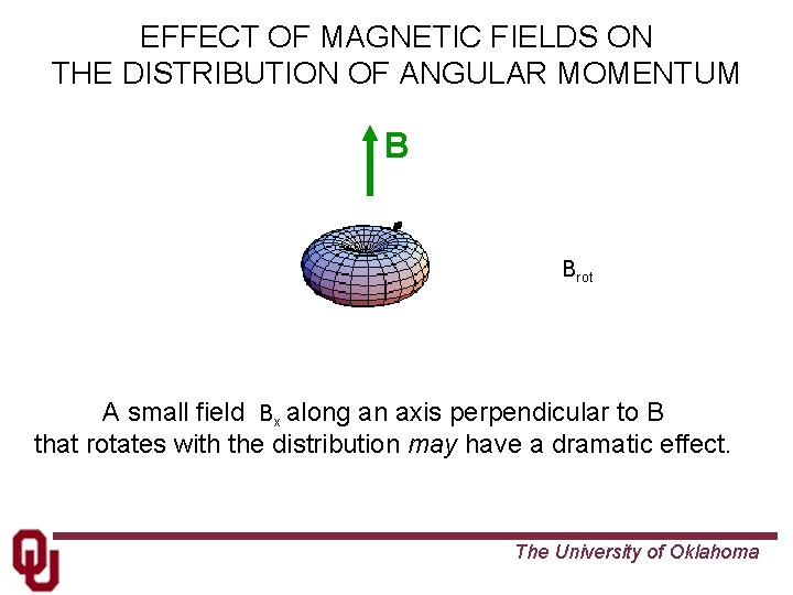 EFFECT OF MAGNETIC FIELDS ON THE DISTRIBUTION OF ANGULAR MOMENTUM B Brot A small